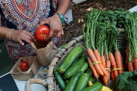 Verso un’economia circolare del cibo