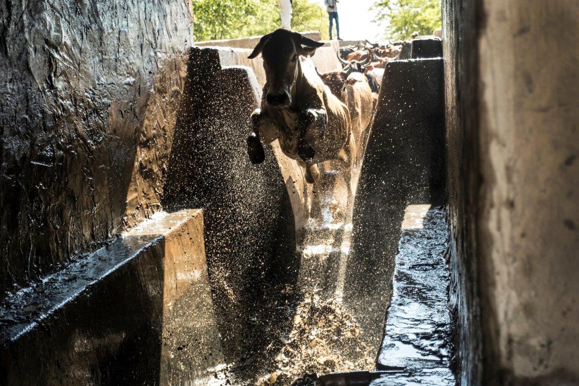 Drought in the rain season, a climate change issue – Stefano Stranges