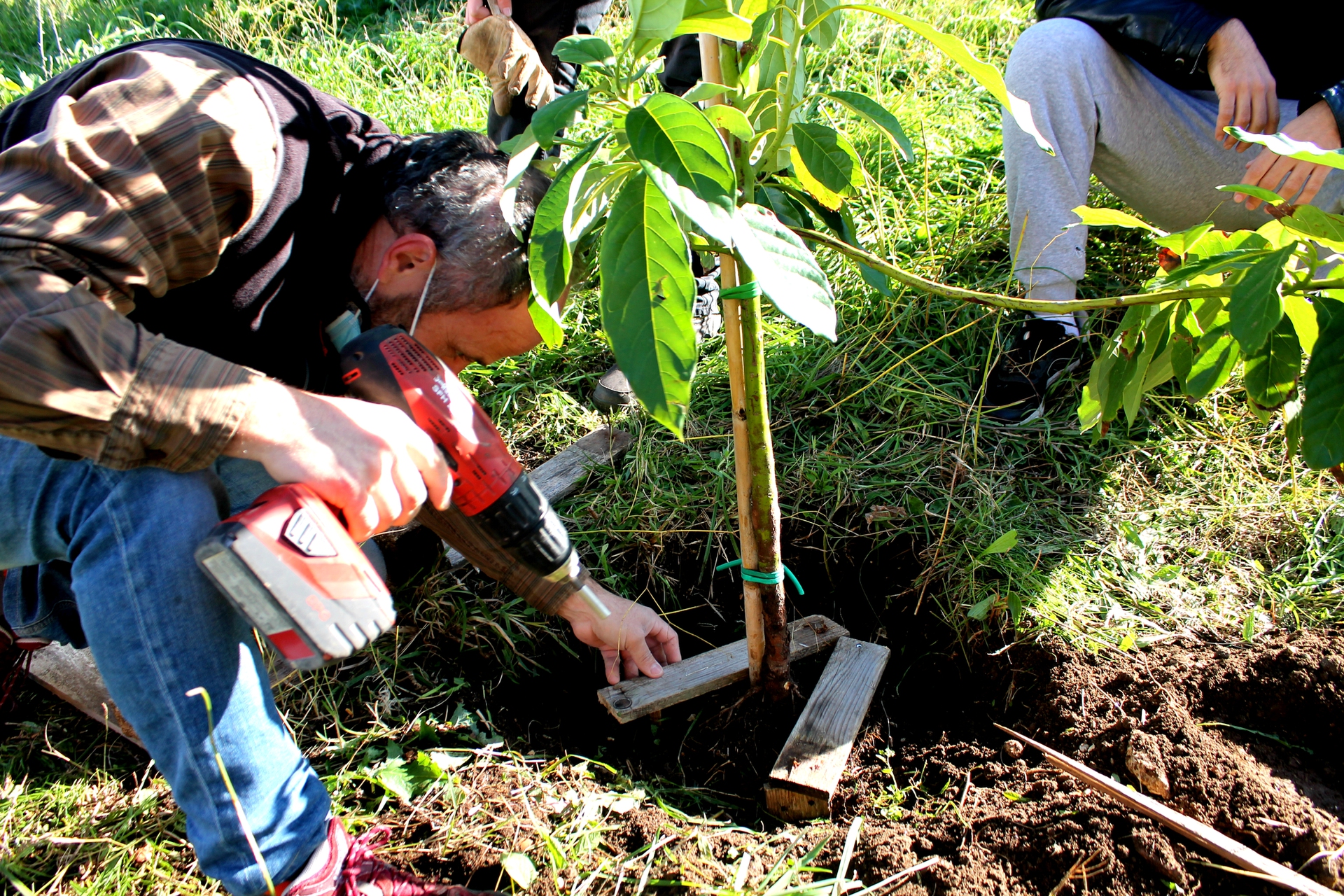 Fissaggio dell'albero