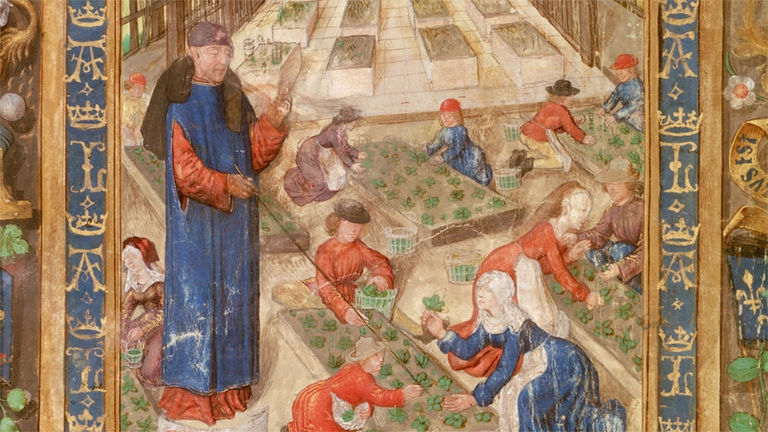 Secondo Paracelso la natura è in grado di fornire tutti i medicinali di cui abbiamo bisogno