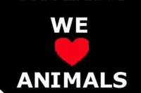 La ricerca possibile senza animali