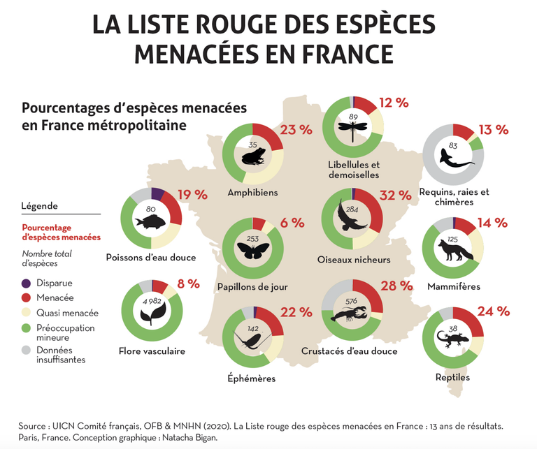 Francia, 2400 specie a rischio estinzione
