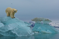 The effects of climate change, in pictures