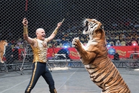 Il circo Barnum chiude per sempre