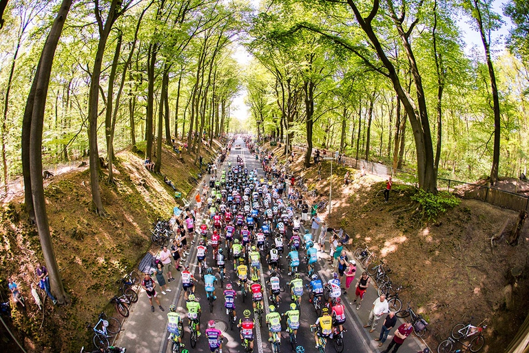 giro d'italia 100 green