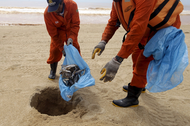 pesci-morti-disastro-brasile