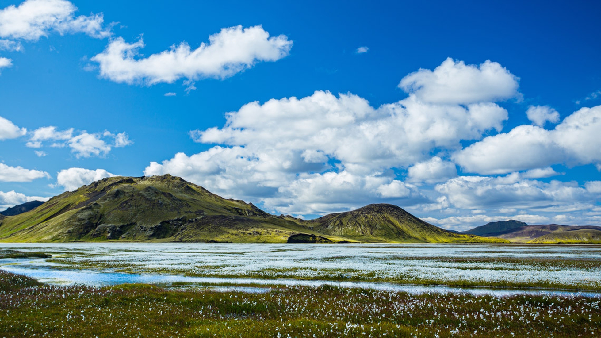 La natura è la soluzione che può salvarci dalla catastrofe climatica -  LifeGate