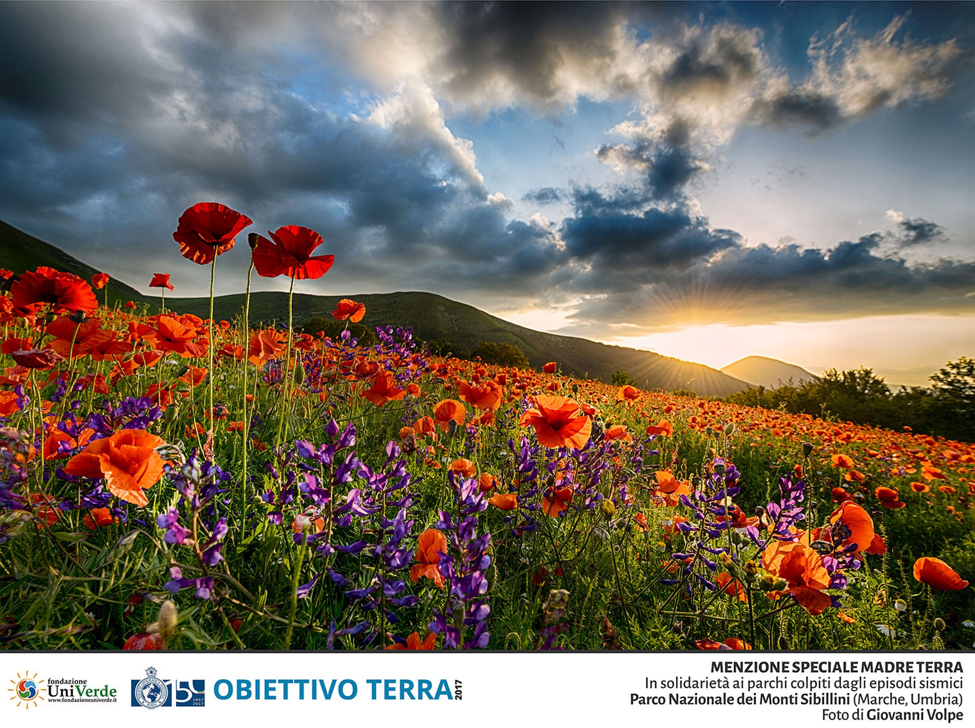Giovanni-Volpe---Menzione-Speciale-Madre-Terra---Parco-Nazionale-dei-Monti-Sibillini-(Umbria,-Marche)