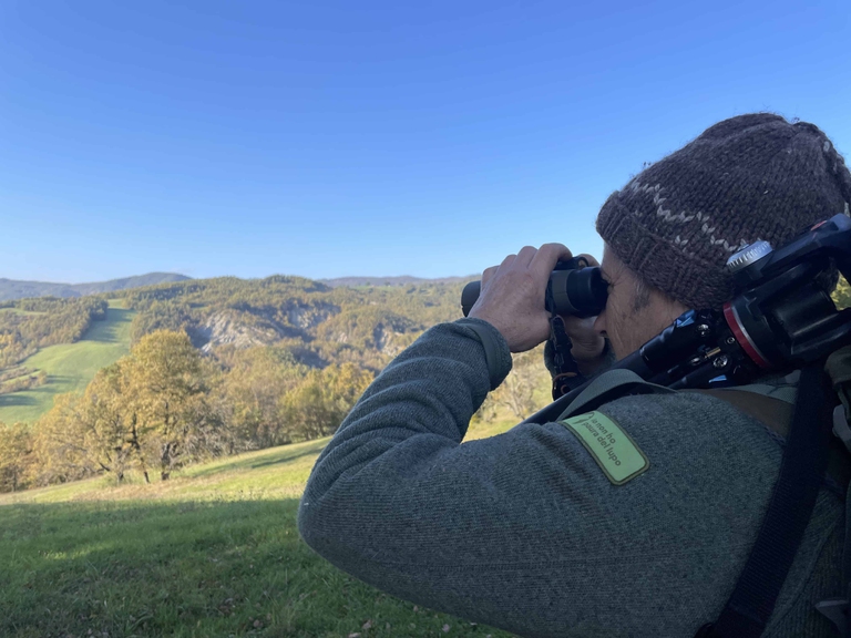 Io non ho paura del lupo