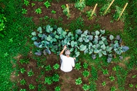 Il suolo all’origine del cibo (e l’importanza dell’agricoltura rigenerativa)