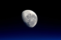 Che fine ha fatto il cotone germogliato sulla Luna