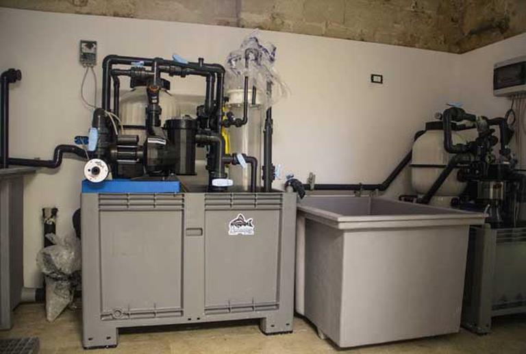 centro-primo-soccorso egadi