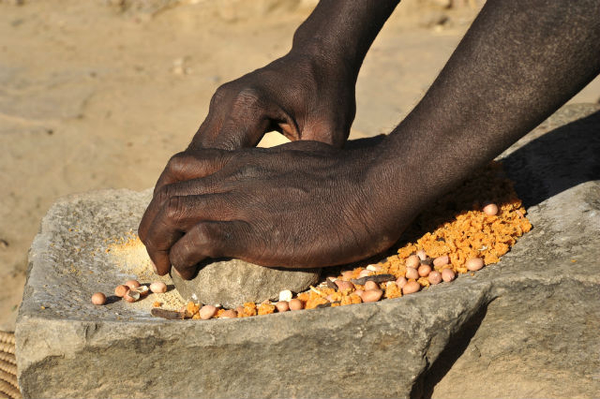 Slow Food for Africa. 10.000 orti per coltivare il futuro