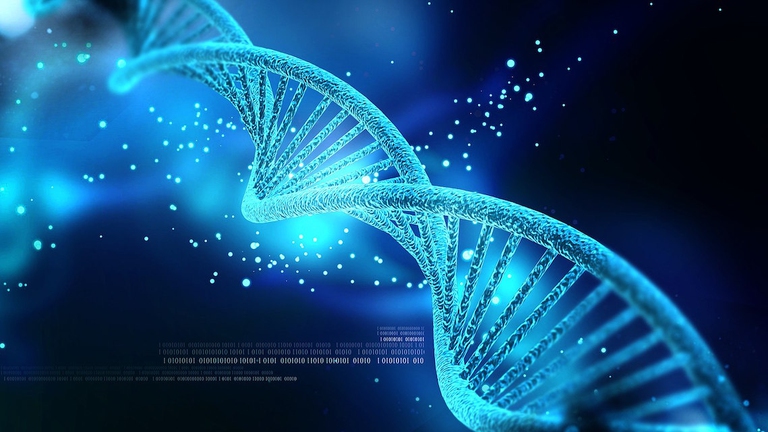 dna, DeProducers