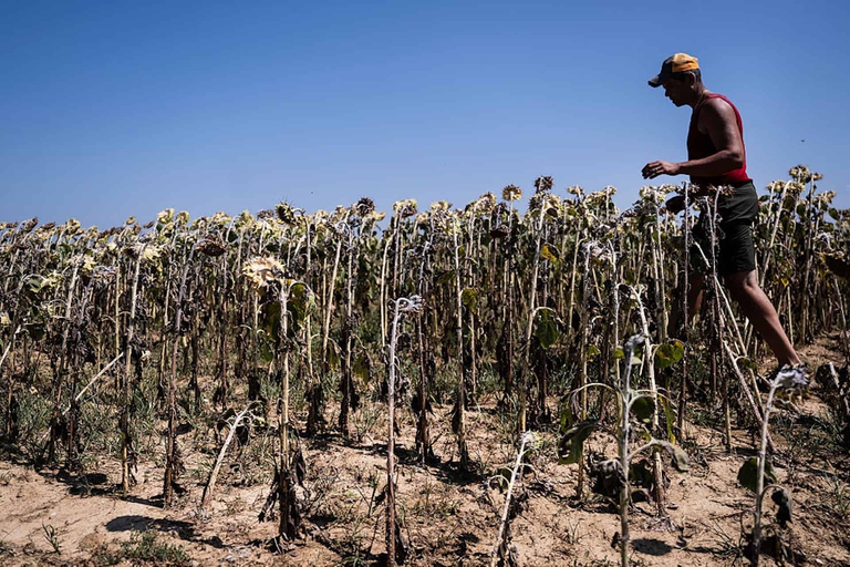 agricoltura
