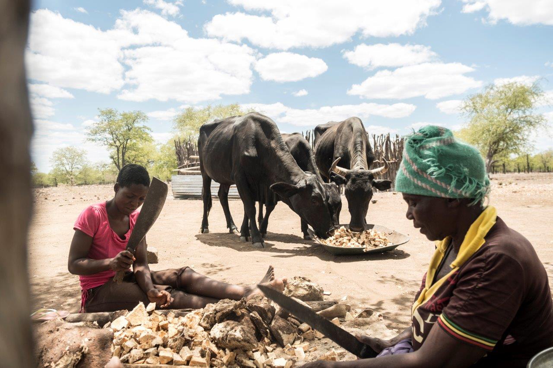 Drought in the rain season, a climate change issue – Stefano Stranges