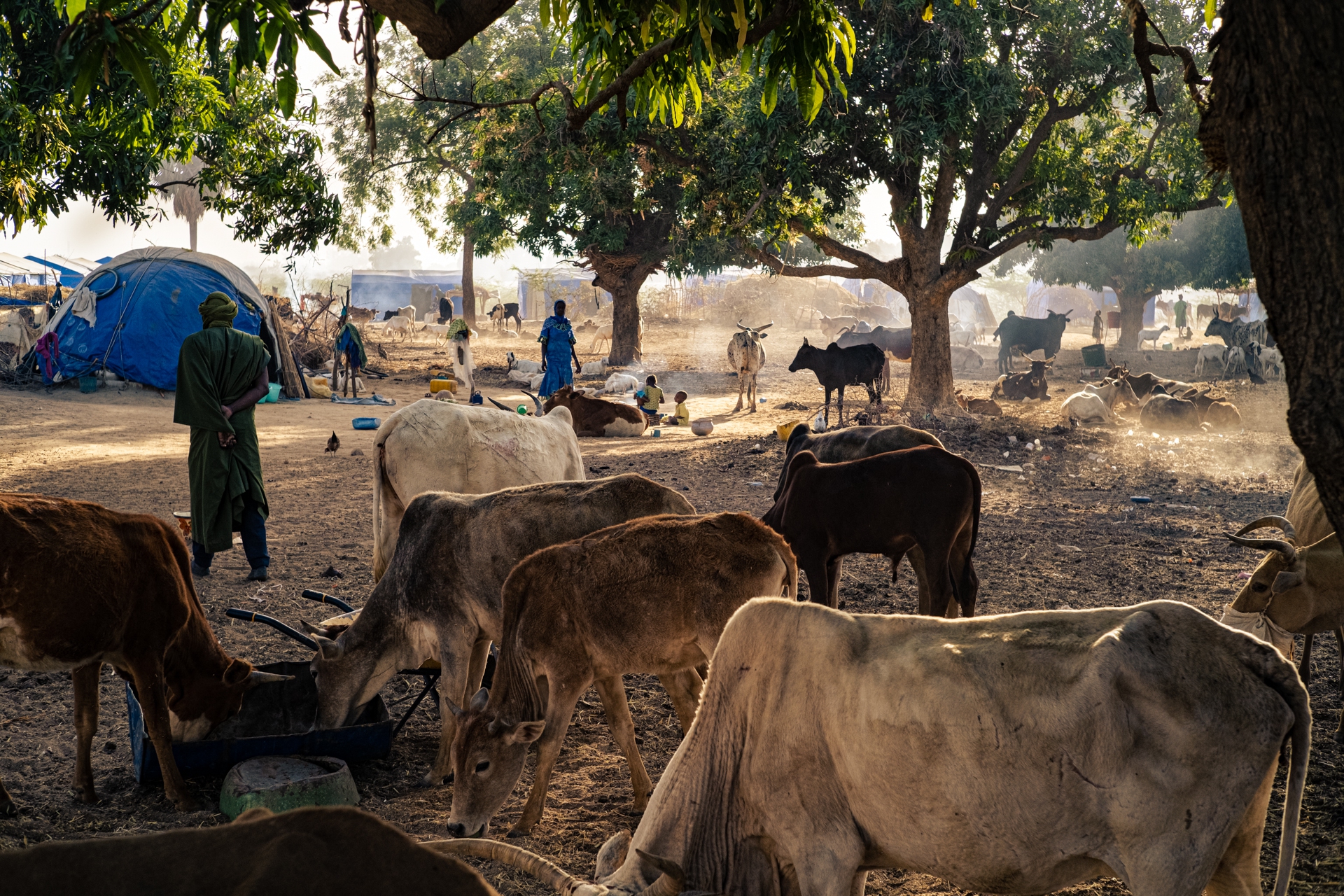 Rifugiati peul Mopti