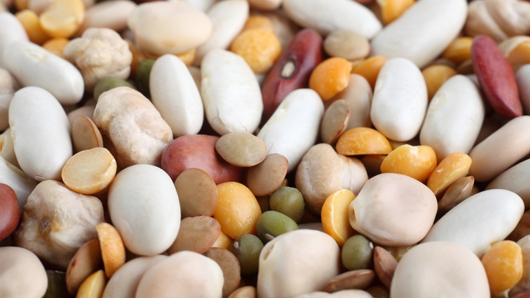 legumi cereali proteine