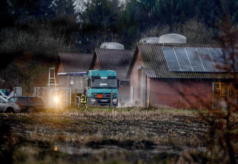 influenza aviaria allevamento germania