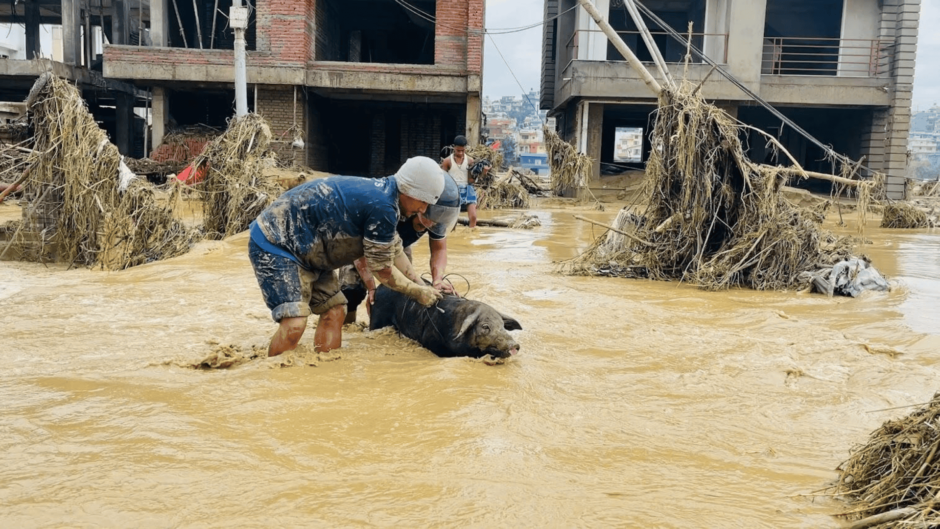 Aiuto inondazioni nepal