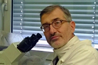 Paolo Bellavite. Vaccini sì, obblighi no: la prospettiva della nostra Costituzione