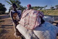 Il premio Nobel per la Pace 2020 va al Programma alimentare mondiale (Wfp)