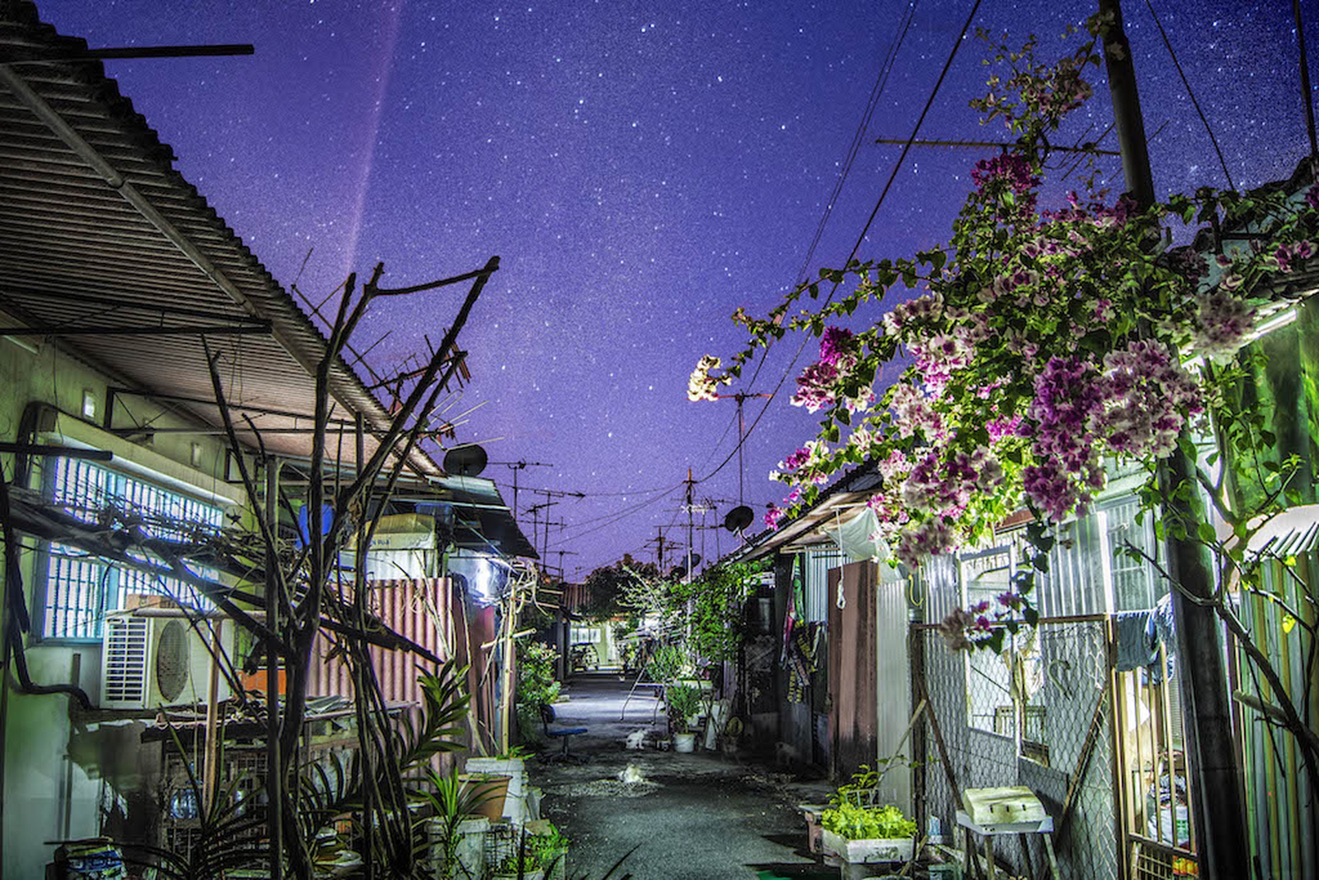 Yong-Lin-Tan-Vincitore-Sony-Awards-Youth-Environment_2015