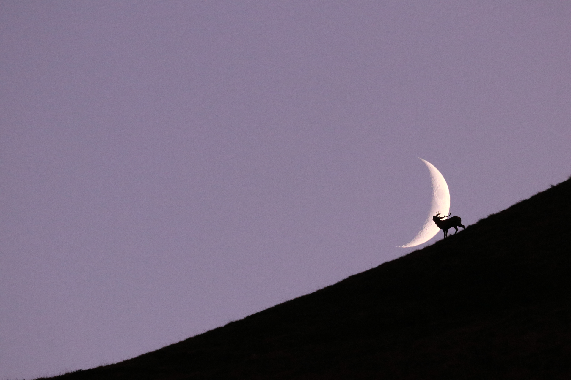 Parco Nazionale Dolomiti Bellunesi, di Andrea Cavedon
