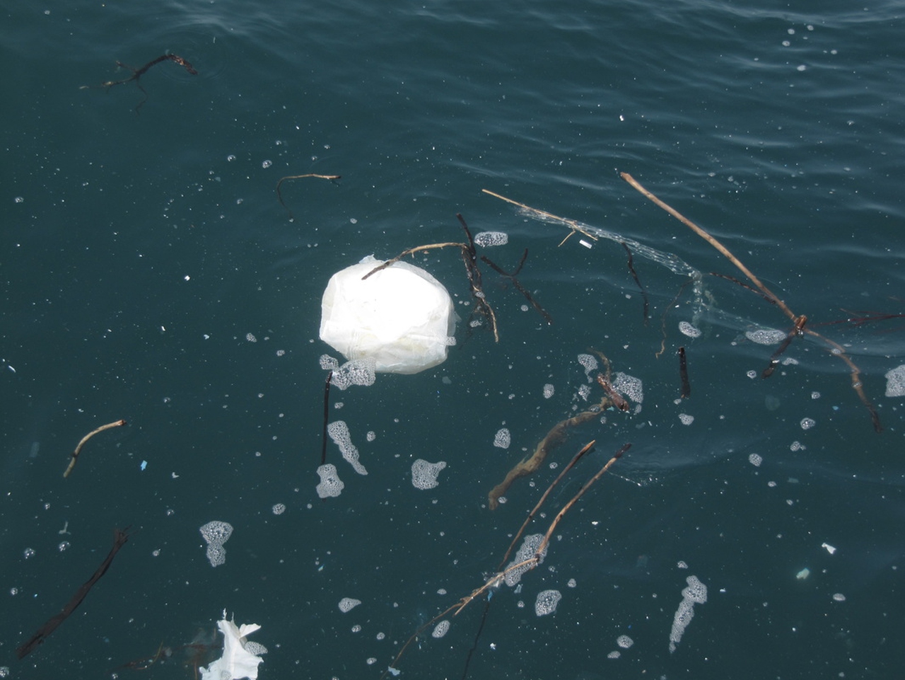 Microplastiche, è Il Mar Mediterraneo Il Più Invaso Dai Rifiuti - LifeGate