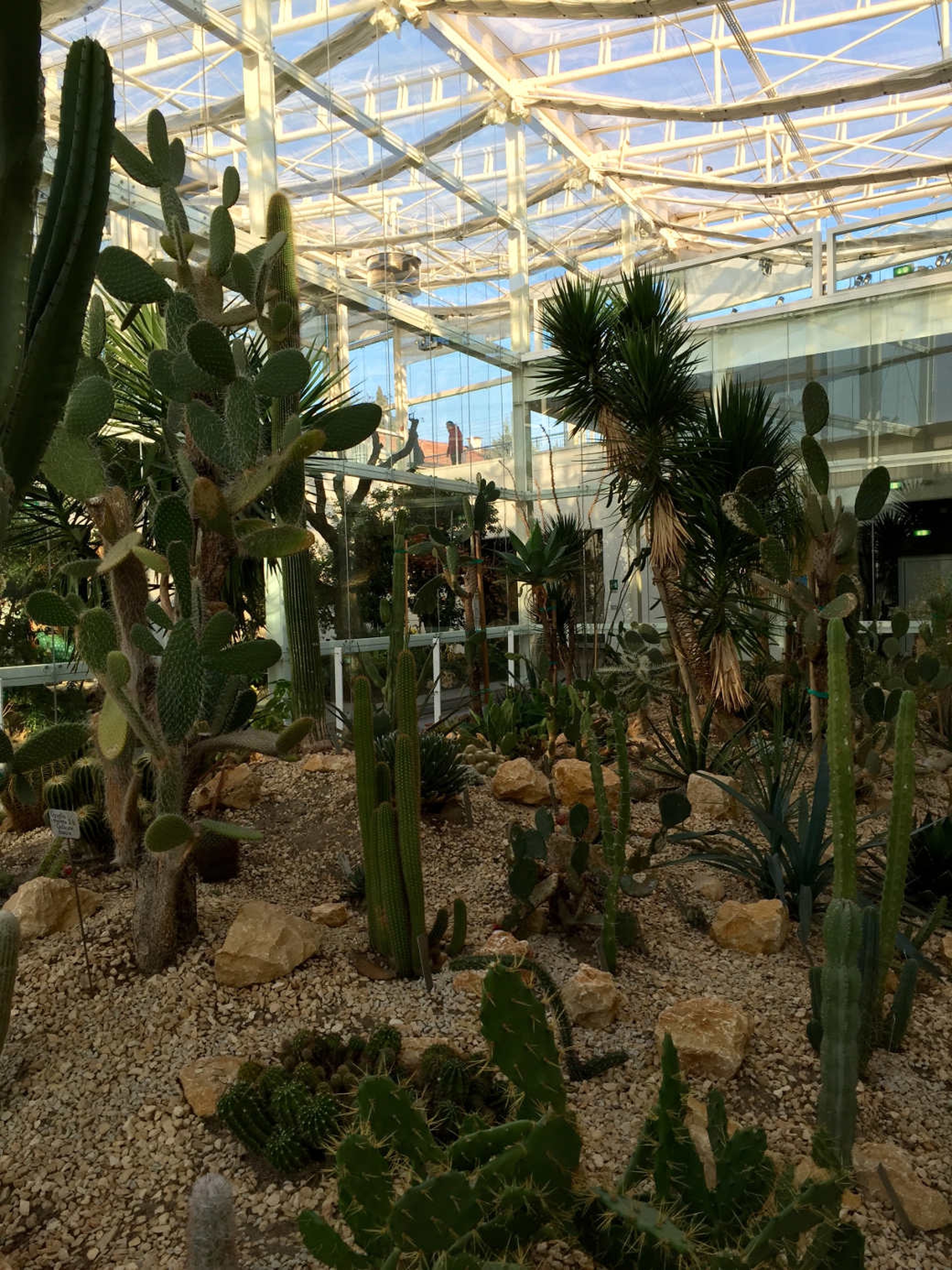 Giardino della Biodiversità