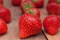 Rosse golosità, le fragole e le fragoline di bosco