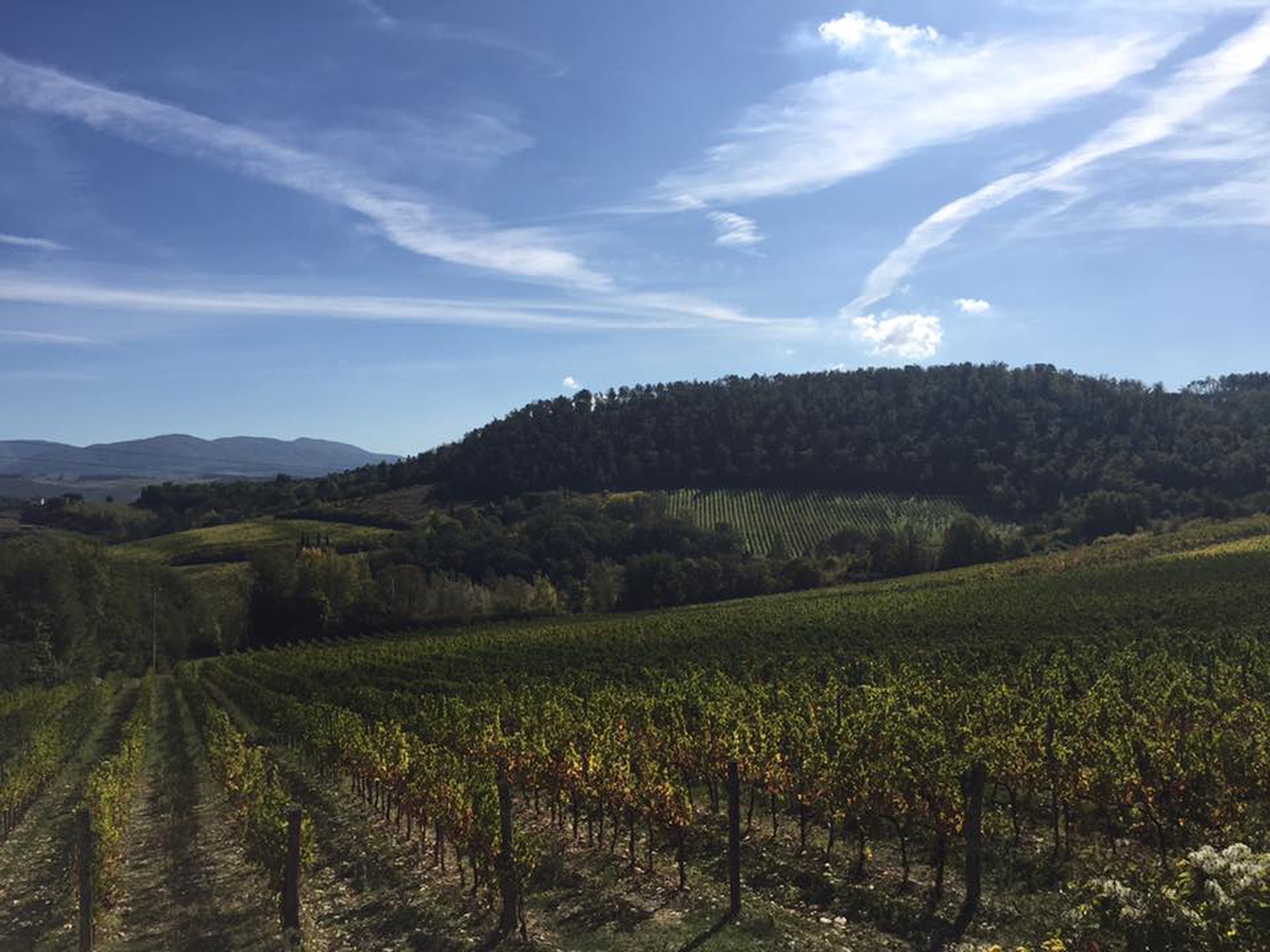 Giorno 2 - Il paesaggio di San Casciano