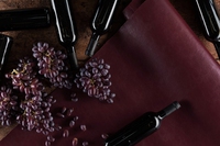 Wineleather, il primo biomateriale fatto con gli scarti del vino che sostituirà la pelle