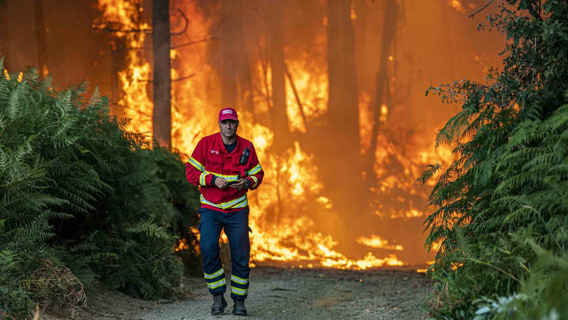 Portugal, 94.000 hectares de terra já arderam em 2022