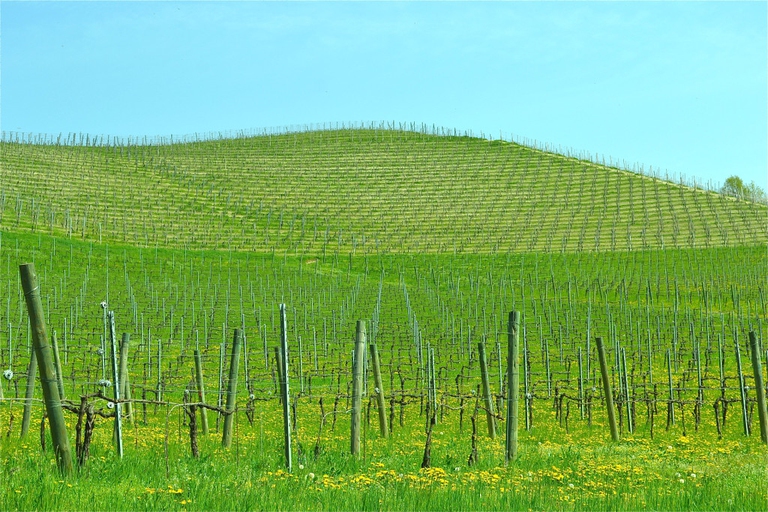 Langhe ©SimonaDeniseDeiana