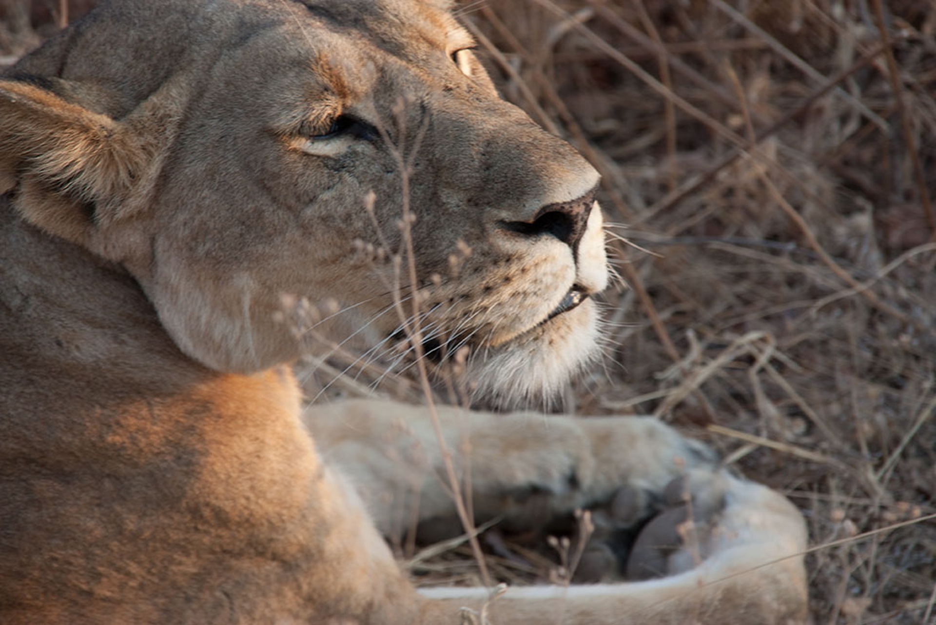 Traffickers are the ones we need to stop