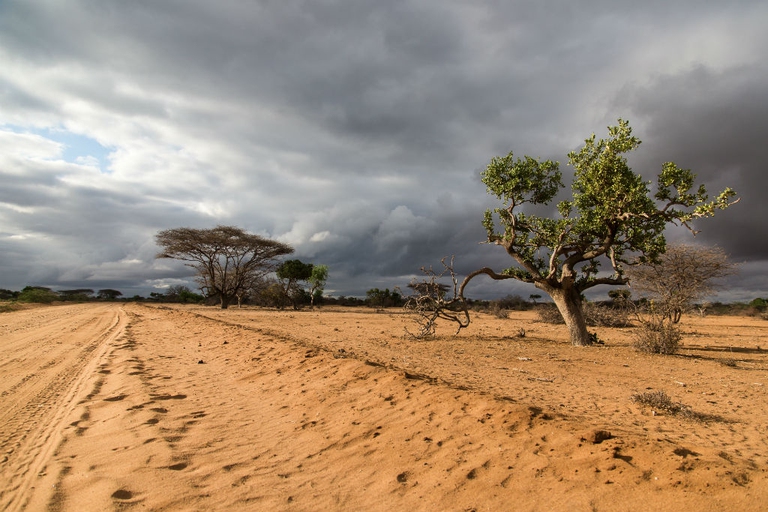 Gli effetti del climate change. Foto via Fiondella