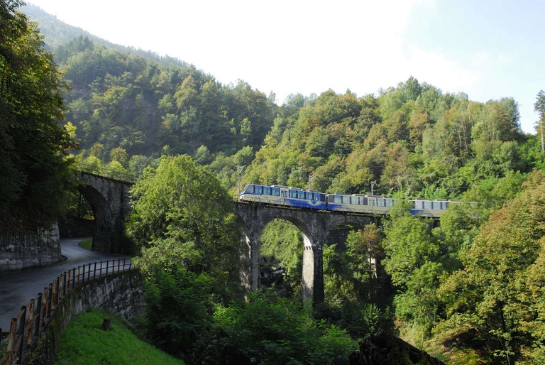 La ferrovia Vigezzina Centovalli,