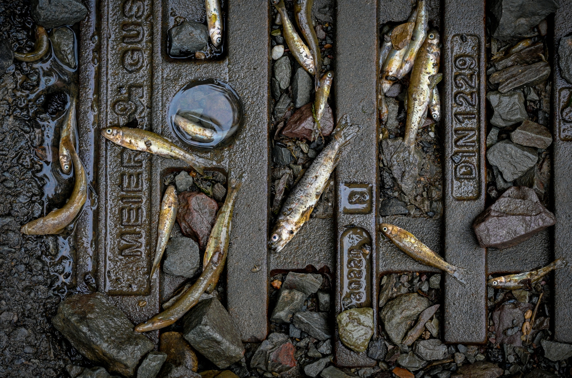 Germany Continues Evacuation And Rescue From Floods As Death Toll Rises