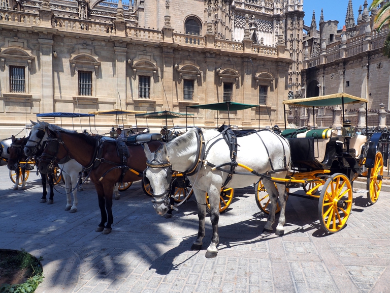 carrozzelle adibite al trasporto di turisti