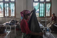 Phil Robertson. Myanmar pursued ethnic cleansing and apartheid against Rohingya Muslims