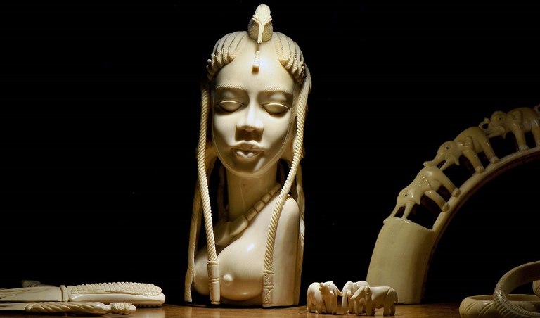 Statua d'avorio esposta al museo del Bioparco