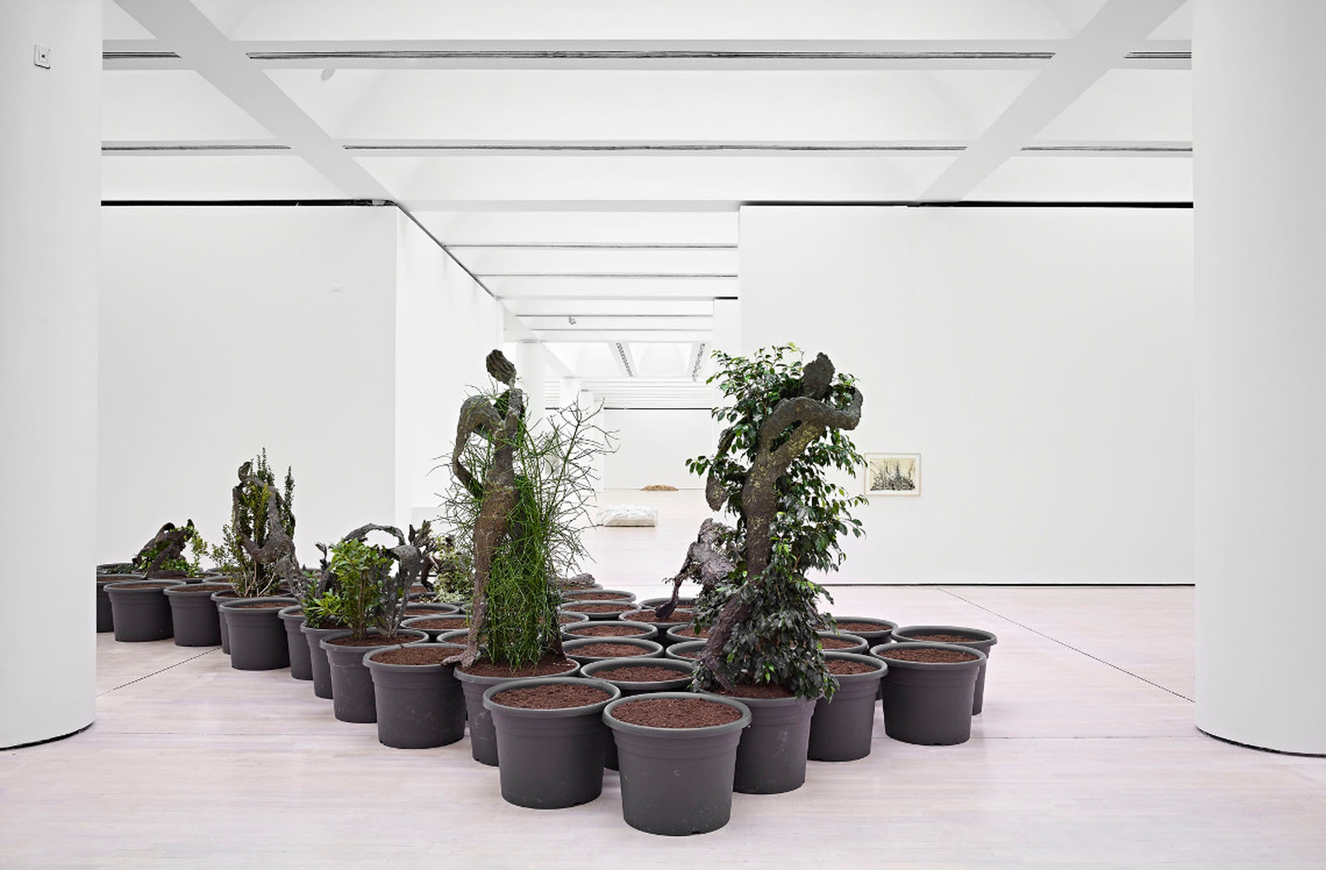 6Mart_Giuseppe Penone_Gesti vegetali