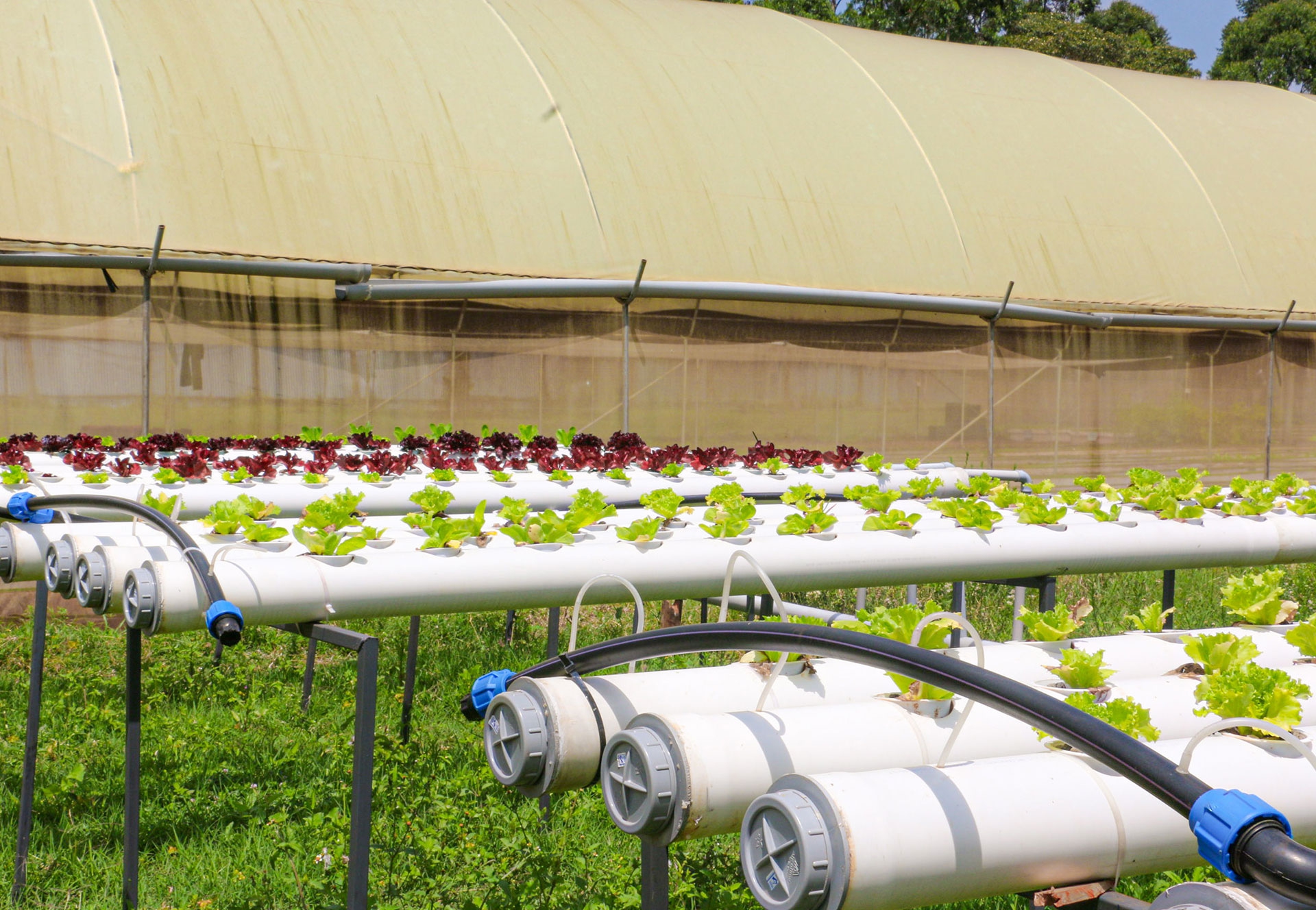 Global impact network