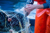 Pesca: migliora la situazione in Europa, ma servono ancora sforzi