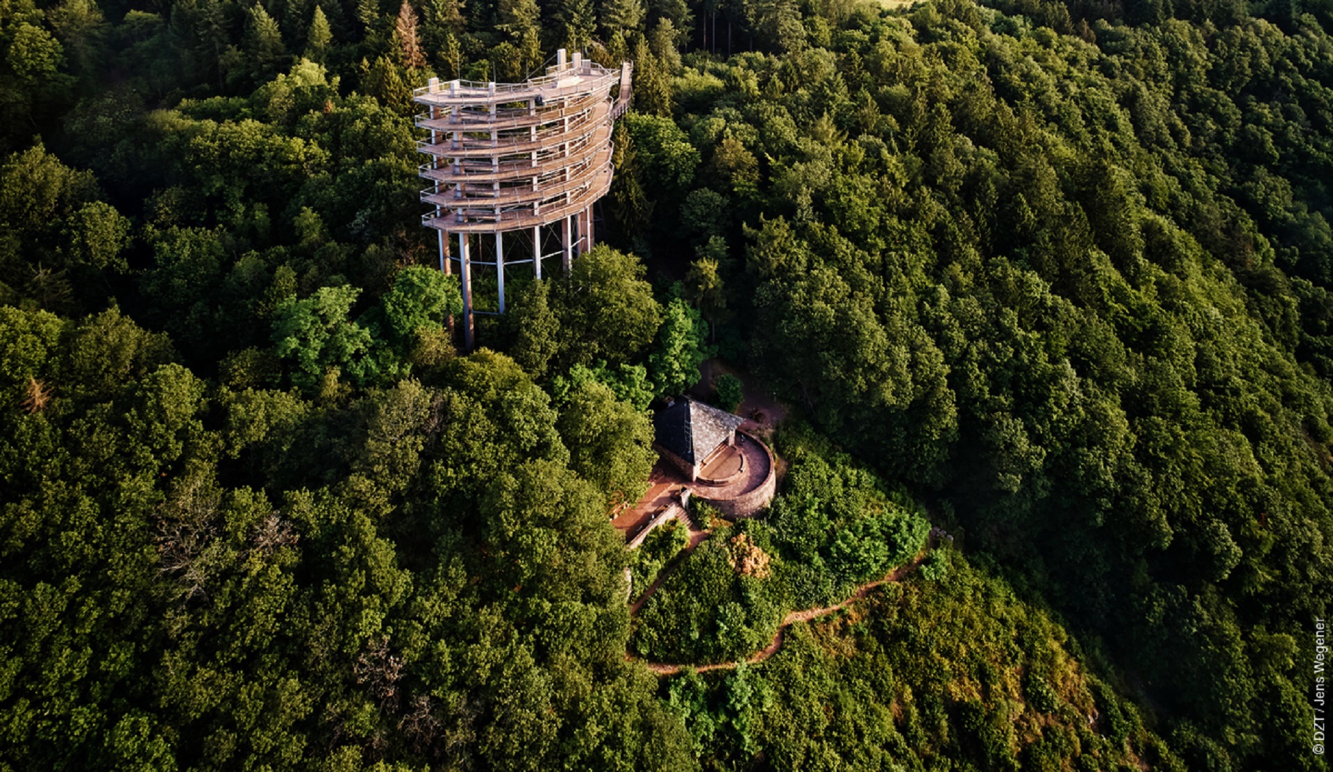 Sentieri sugli alberi in Germania