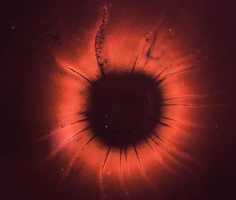 © Joel Filipe/Unsplash