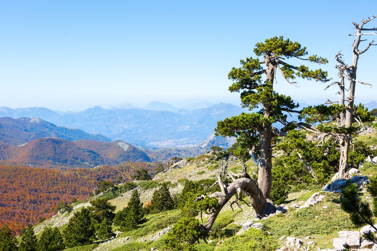 Parco nazionale del Pollino