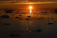 Clima, le regioni del mondo che stanno registrando le temperature più alte