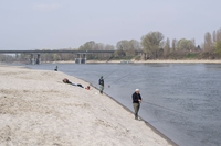 Questo è il fiume Po a marzo, anche se sembra Ferragosto